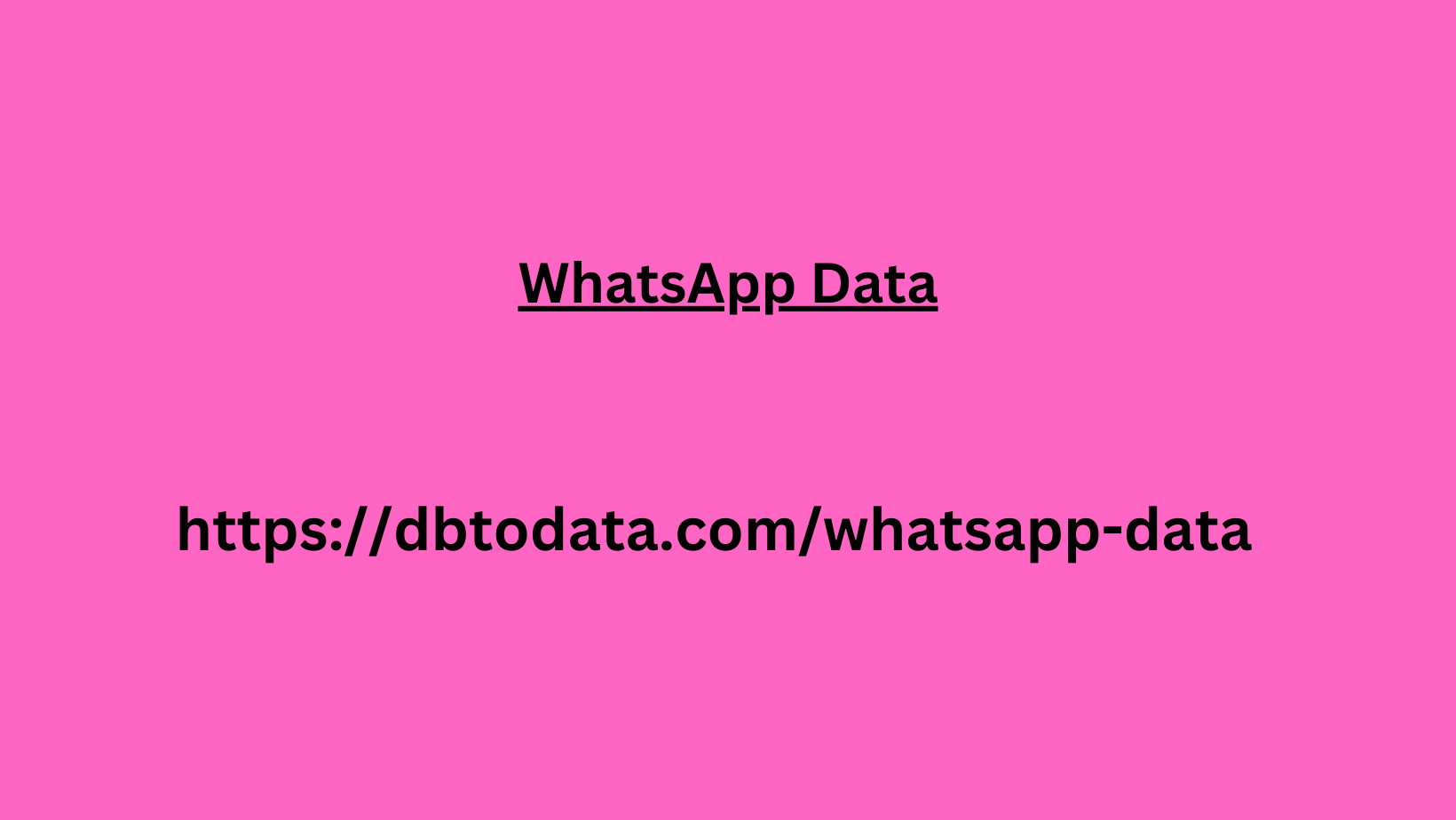 WhatsApp Data 03